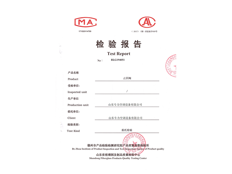 止回閥檢驗報告